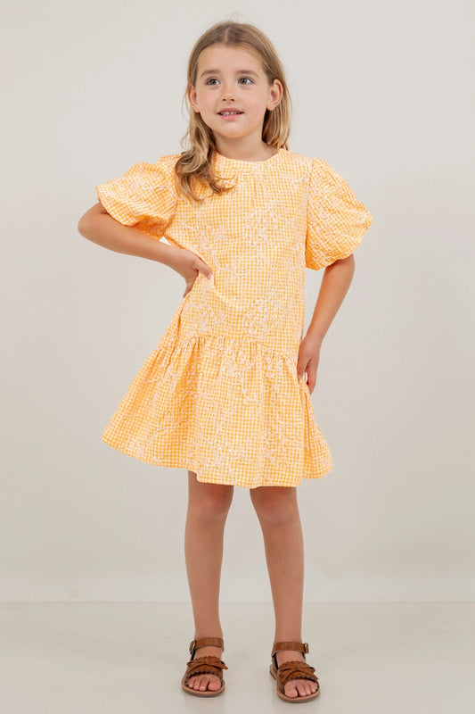 Orange Drop Waist Gingham Dress by Voy
